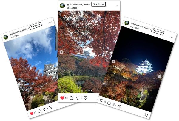 岐阜の郡上八幡城が舞台、「郡上八幡城もみじまつり2026」開幕！夜間特別開城やライトアップを楽しもう