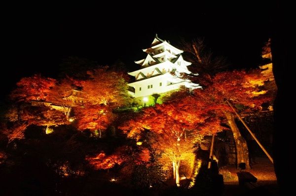 岐阜の郡上八幡城が舞台、「郡上八幡城もみじまつり2026」開幕！夜間特別開城やライトアップを楽しもう