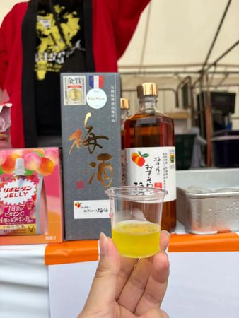 「全国梅酒まつりin横須賀2026」開催！会場を巡る新体験型企画「梅酒まつりRPG」も