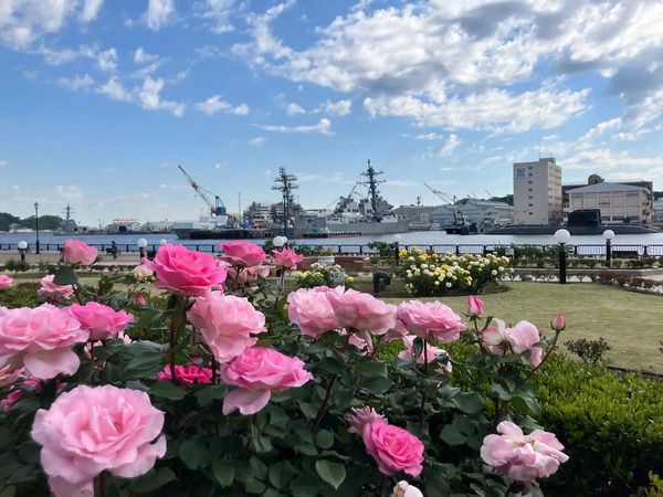 「全国梅酒まつりin横須賀2026」開催！会場を巡る新体験型企画「梅酒まつりRPG」も