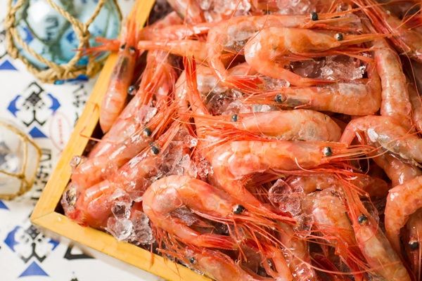 「北海道海鮮 個室居酒屋 うおっと 魚人 札幌駅北口店」オープン！甘エビつかみ取りも