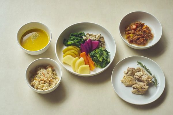 開発者2人が語る、無添加調理の冷凍宅配食「FIT FOOD 100」開発ストーリー公開！