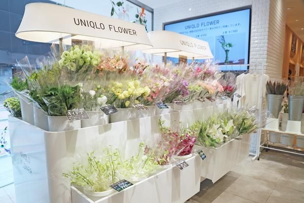 ユニクロ 新宿本店の1階フロアを華やかに彩る花々。ショーウィンドウ越しに道路からも眺められる