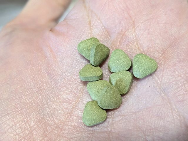 あおつぶの粒を手のひらにのせた様子