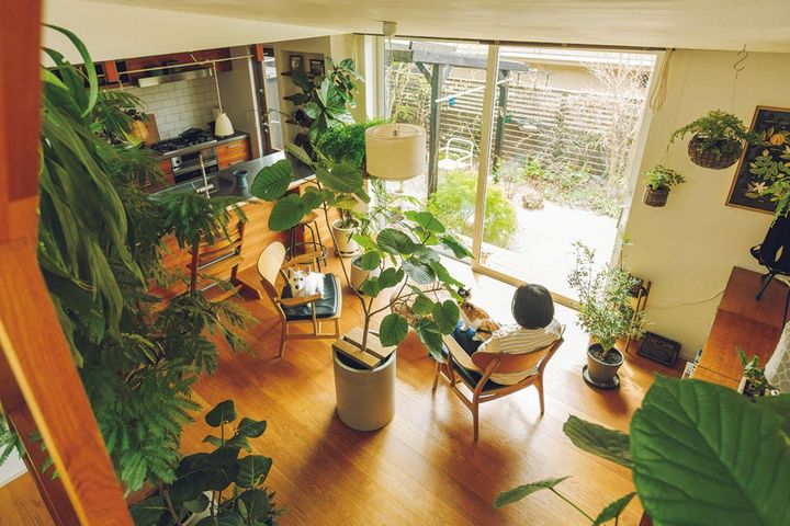 家の光に合わせて植物を元気に育てる！「光・土・風」を大切にした心地よいインテリア実例