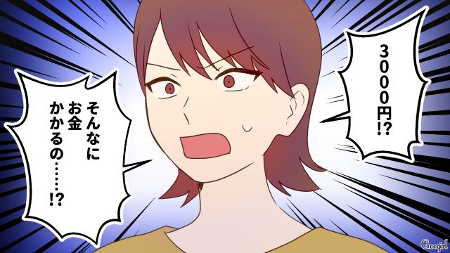 ママ友主催のBBQパーティーに参加！「そんなにお金かかるの…!?」3千円請求され驚愕したドケチ家庭の妻の話