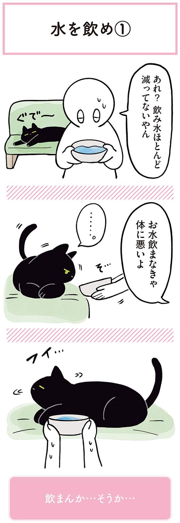 お水飲まなきゃ体に悪いよ （C）AKR／KADOKAWA