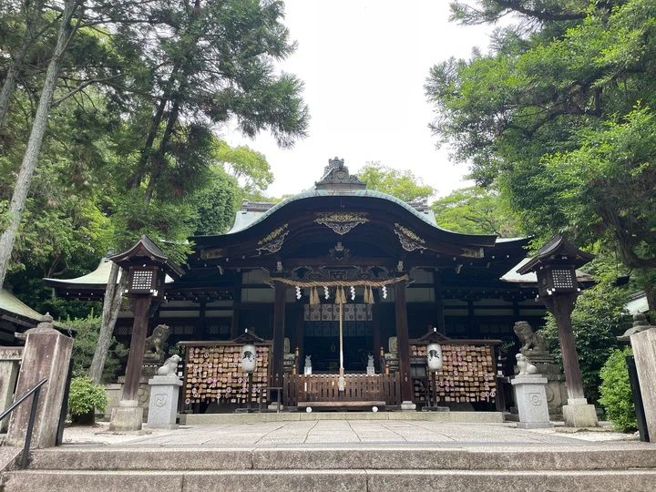 安産祈願は京都の岡崎神社へ かわいいうさぎに囲まれて家族3人の幸せを願うひととき_1