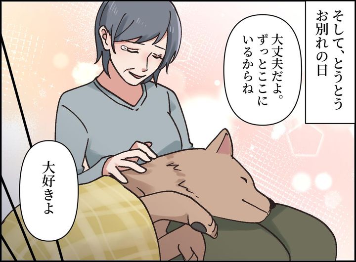 画像3: 最期までそばに