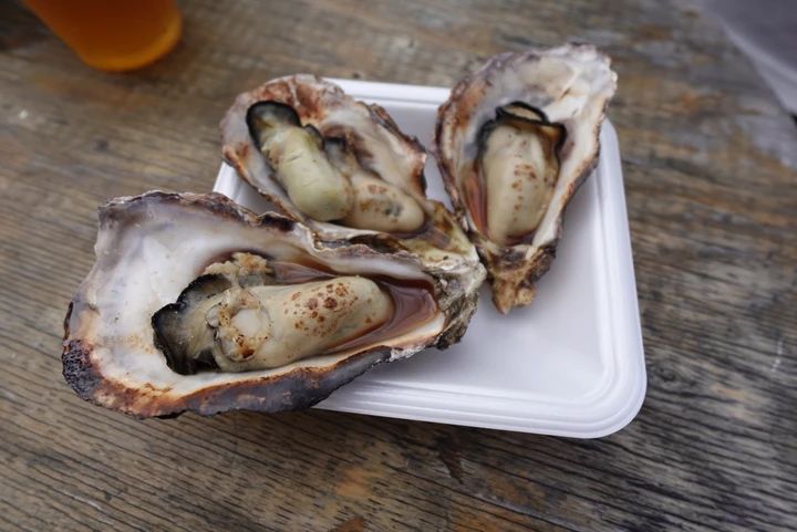 【沼津港グルメ】2時間待ちの人気店「にし与」であじたたき丼＆アジフライ！静岡日帰り旅_2