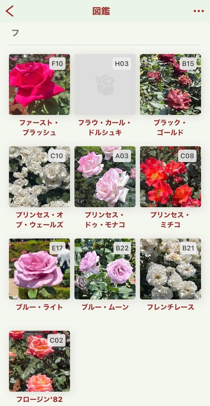 秋のおでかけに、150円で楽しめるバラフェスティバル【駒込 旧河川庭園】_5