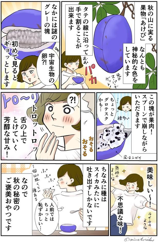 秋の山に実る果物「あけび」 （C）峯鳥子