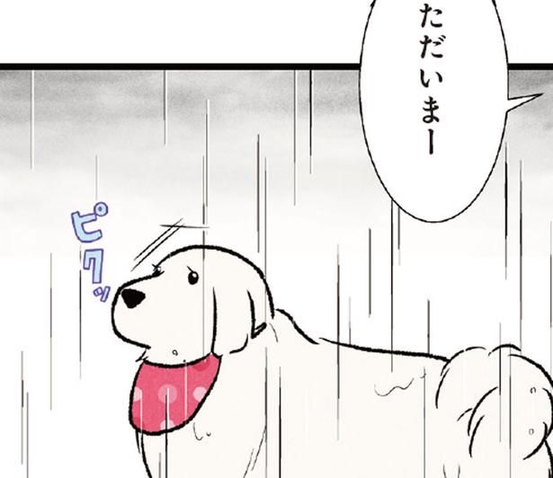 自宅警備のお勤め完了！ 飼い主を迎えた大型犬の姿にほっこり （C）今日のルンルン、黒羽沙乃／KADOKAWA