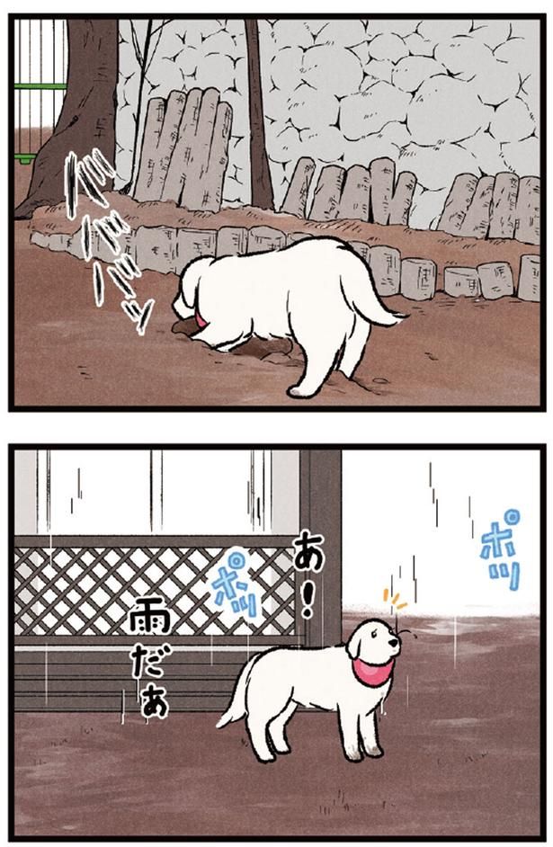 あ！雨だぁ （C）今日のルンルン、黒羽沙乃／KADOKAWA