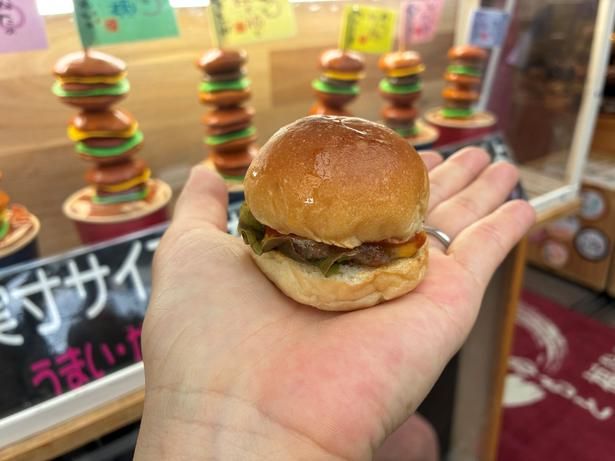 手のひらにのるほどのコンパクトサイズ！