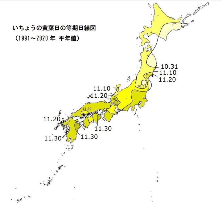 イチョウの黄葉