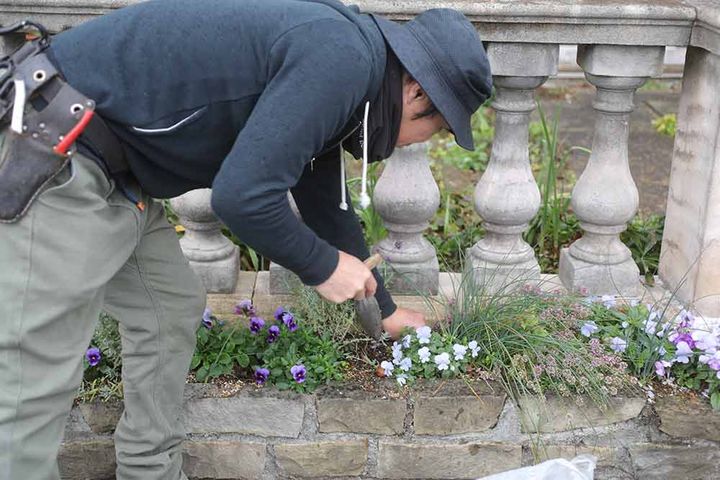 球根の植え付け