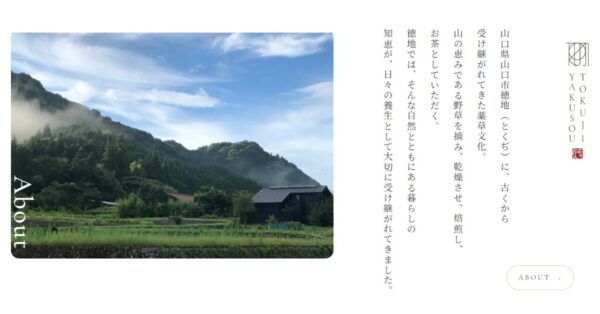 野草茶ブランド「TOKUJI YAKUSOU」が公式ブランドサイト開設！山口県徳地の薬草文化を発信