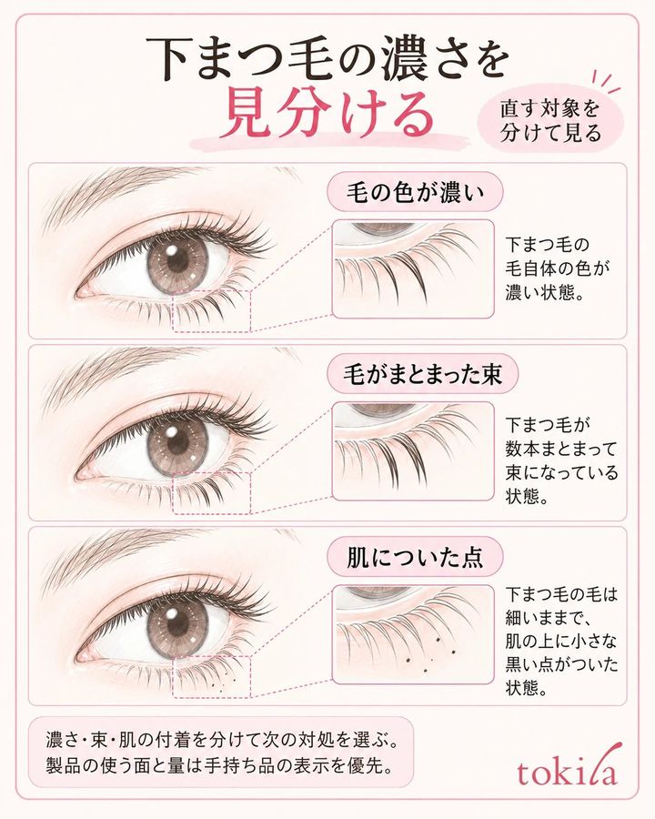 同じ目で下まつ毛の濃い色・まとまった束・皮膚の点を分ける図