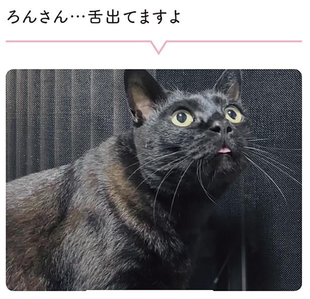 舌出てますよ （C）AKR／KADOKAWA