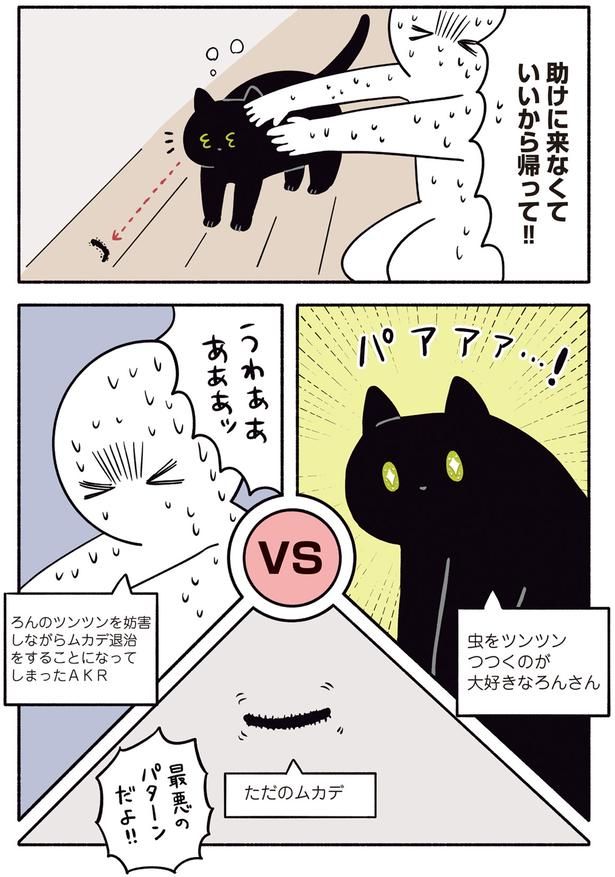 助けに来なくていいから帰って！！ （C）AKR／KADOKAWA