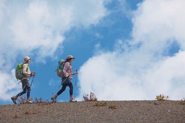 小浅間山の絶景やムササビ観察も！秋の軽井沢で楽しむピッキオのネイチャーツアー4選