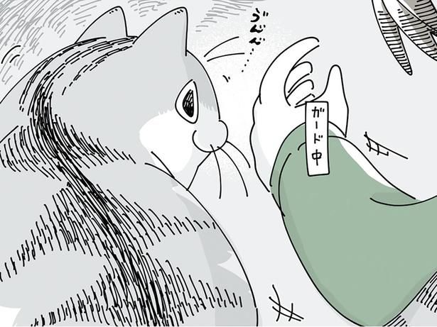 ネコ VS 飼い主 （C）キュルZ／KADOKAWA