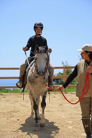 宮崎・日南の無人島リゾート「HINATA大島」での滞在を中心に、秋の魅力を味わうモデルコースを紹介
