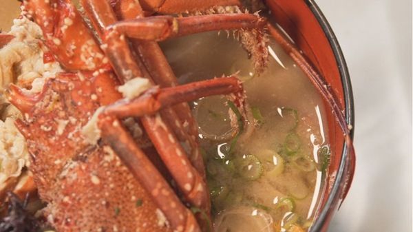 宮崎・日南の無人島リゾート「HINATA大島」での滞在を中心に、秋の魅力を味わうモデルコースを紹介