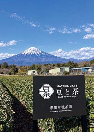 MAME-TO-CHA 鎌倉にて自分の好みの抹茶を見つけるテイスティング体験実施中