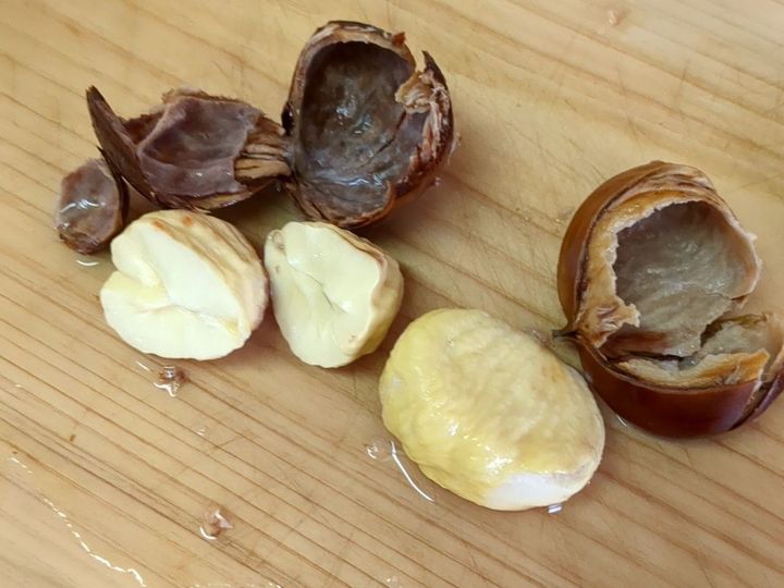 【季節の手仕事シリーズ】モンブランペーストを作り置き！