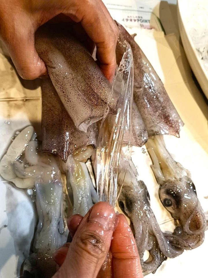 【天然魚クエスト】イカしてるね〜！あこがれの「いかめし」！