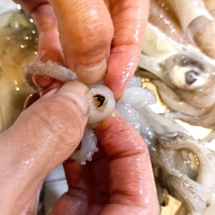 【天然魚クエスト】イカしてるね〜！あこがれの「いかめし」！