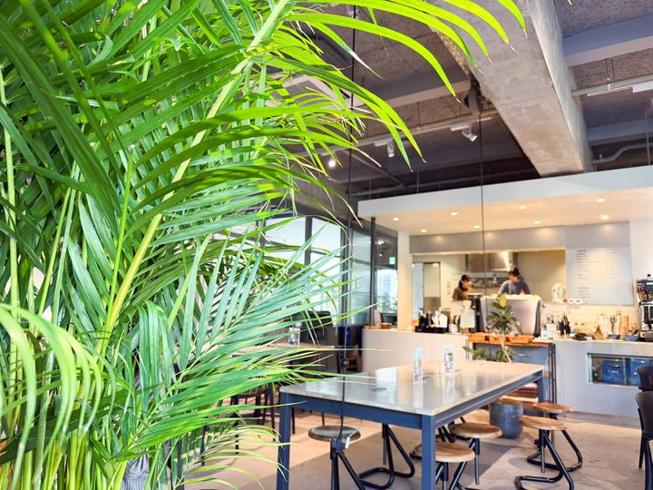 コンクリートとグリーンが調和したHATTO COFFEEの店内