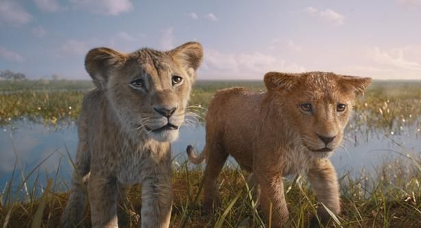 6日に放送される『ライオン・キング：ムファサ』は、『ライオン・キング』(19)の原点となる物語 [c] 2024 Disney Enterprises, Inc.