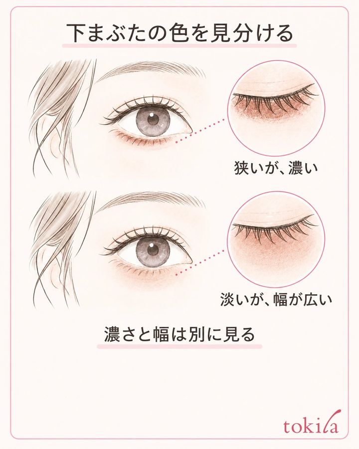同じ目の形で下まぶたの狭い濃い色と広い淡い色を比べる図