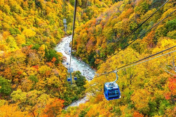 眼下に見えるのは清津川。水面と色づいた山々のコントラストが美しい