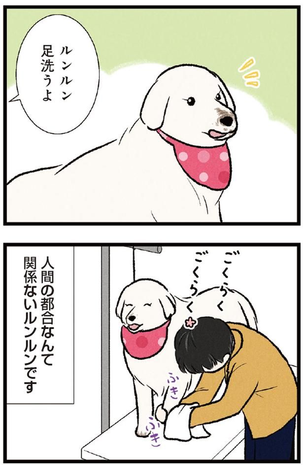 ルンルン、足洗うよ～ （C）今日のルンルン、黒羽沙乃／KADOKAWA