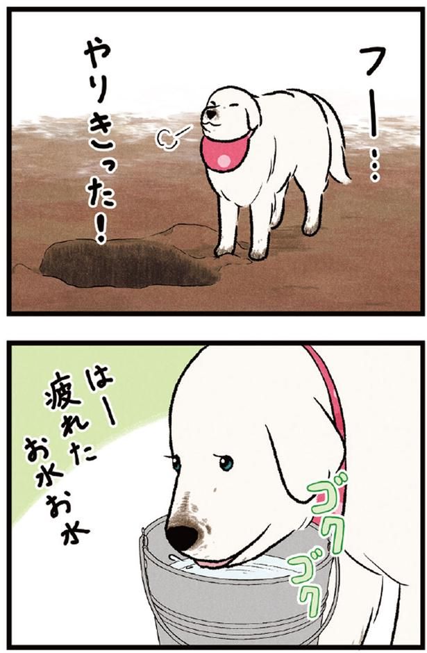 フー...やりきった！ （C）今日のルンルン、黒羽沙乃／KADOKAWA