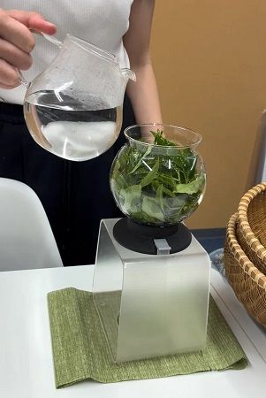 宇治茶の産地、京都・南山城村で茶畑から一杯のお茶までを体験！宇治茶フィールド実習「THE 茶法 SAHOW」開催