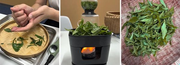 宇治茶の産地、京都・南山城村で茶畑から一杯のお茶までを体験！宇治茶フィールド実習「THE 茶法 SAHOW」開催
