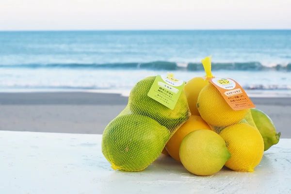 すしざんまい10店舗に、静岡県産レモンブランド「波乗りレモン」のサワーが新登場！その魅力と味を届け認知度UPへ