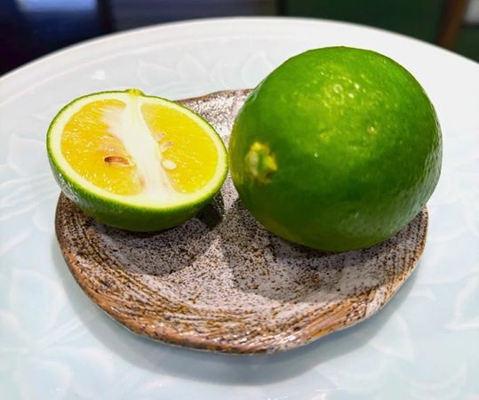 すしざんまい10店舗に、静岡県産レモンブランド「波乗りレモン」のサワーが新登場！その魅力と味を届け認知度UPへ