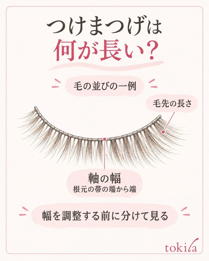 毛先の長さと、根元の軸の幅を分けて見る。