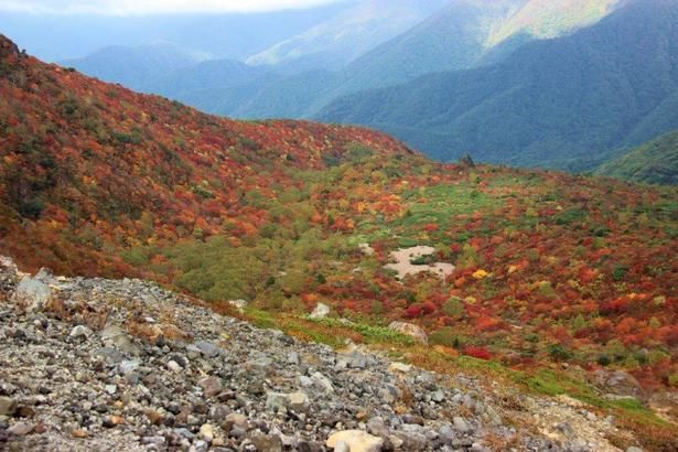 日本百名山に選ばれている那須岳の一座で、紅葉の名所でもある/那須連山(茶臼岳)の紅葉 画像提供：一般社団法人那須町観光協会