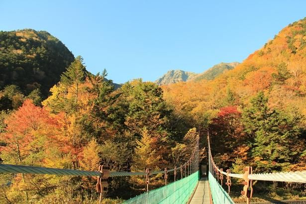 白鳳渓谷の吊橋からの紅葉と北岳/南アルプス白鳳渓谷の紅葉 画像提供：南アルプス市