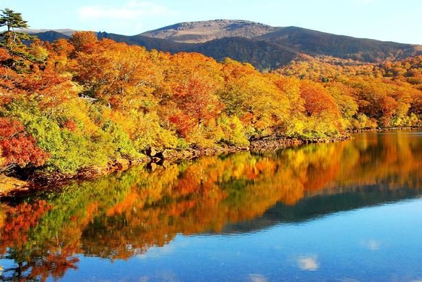 秋晴れの青空と紅葉が湖面に映える/須川高原の紅葉 画像提供：東成瀬村