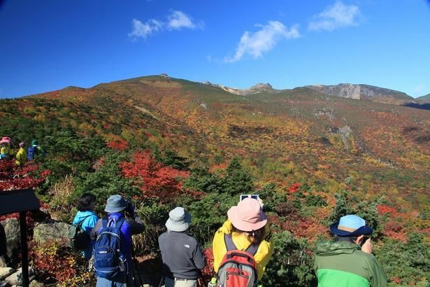 ミズナラ、ブナなどが美しく色づく紅葉時期は多くの登山客が訪れる/安達太良山の紅葉 画像提供：二本松市観光連盟
