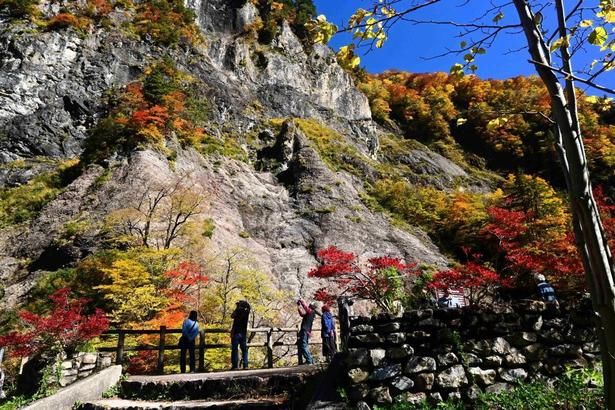 ふくべの大滝は林道開設によって日の目を見た幻の滝とも言われる/白山白川郷ホワイトロード(ふくべの大滝駐車場：標高900メートル付近)の紅葉 画像提供：白山林道石川管理事務所