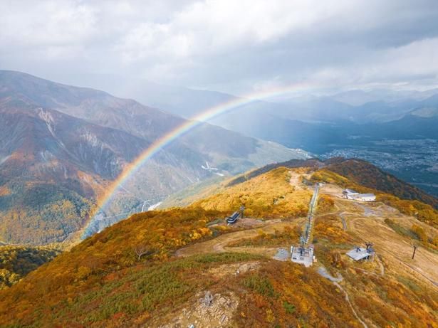 鮮やかに染まる山々を見られる/白馬五竜アルプス平の紅葉 画像提供：株式会社五竜
